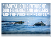 Habitat is the Future